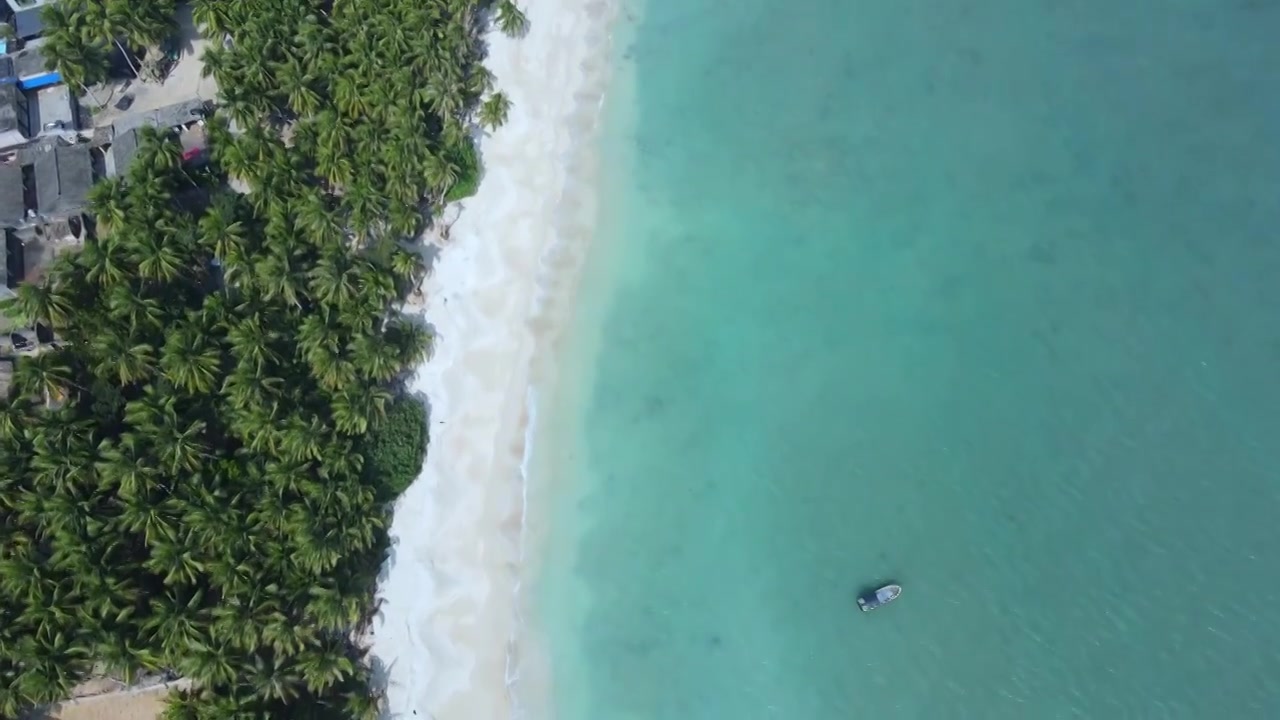 海南琼海博鳌的椰林蔚蓝大海视频素材