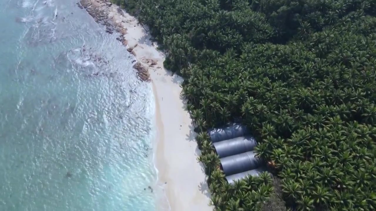 海南琼海博鳌的椰林蔚蓝大海视频素材