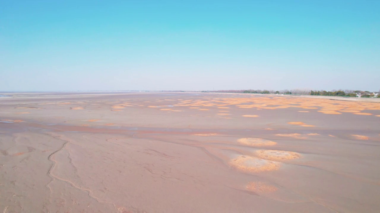 杭州钱塘江冬天冰封大地之树潮汐树滩涂冲刷自然地理风景航拍视频素材