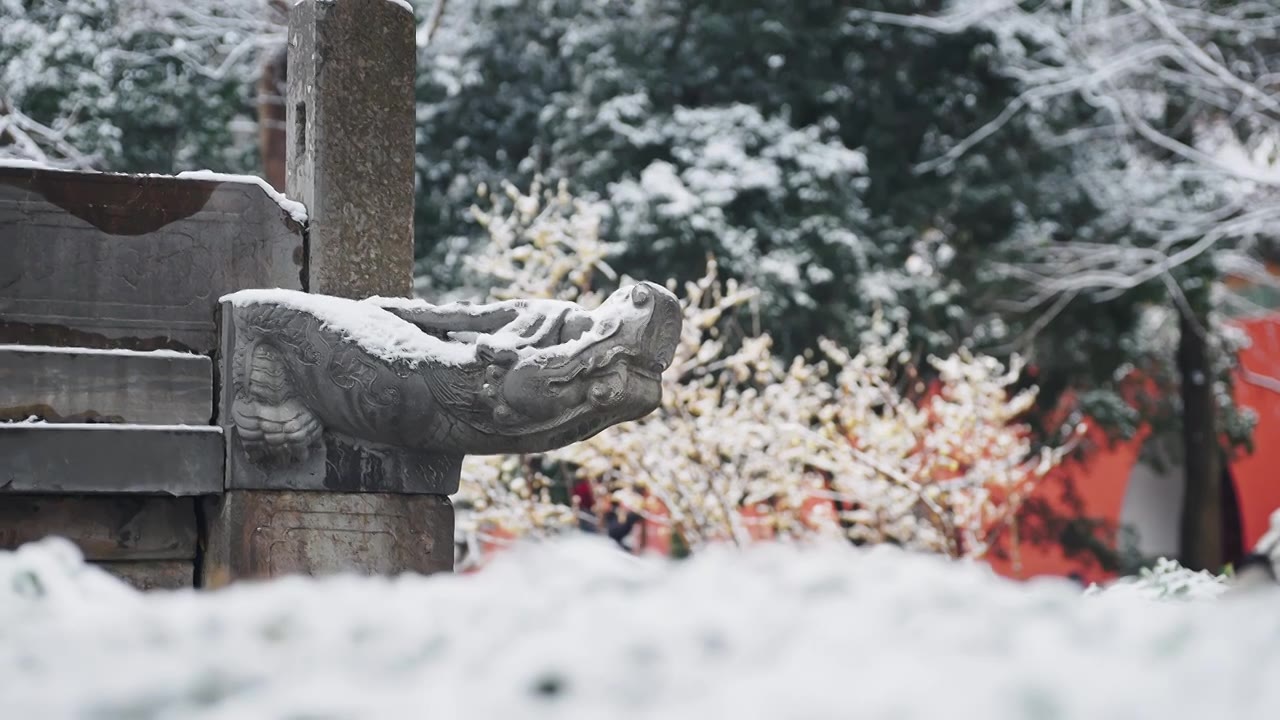 南京明孝陵神兽雪景视频素材