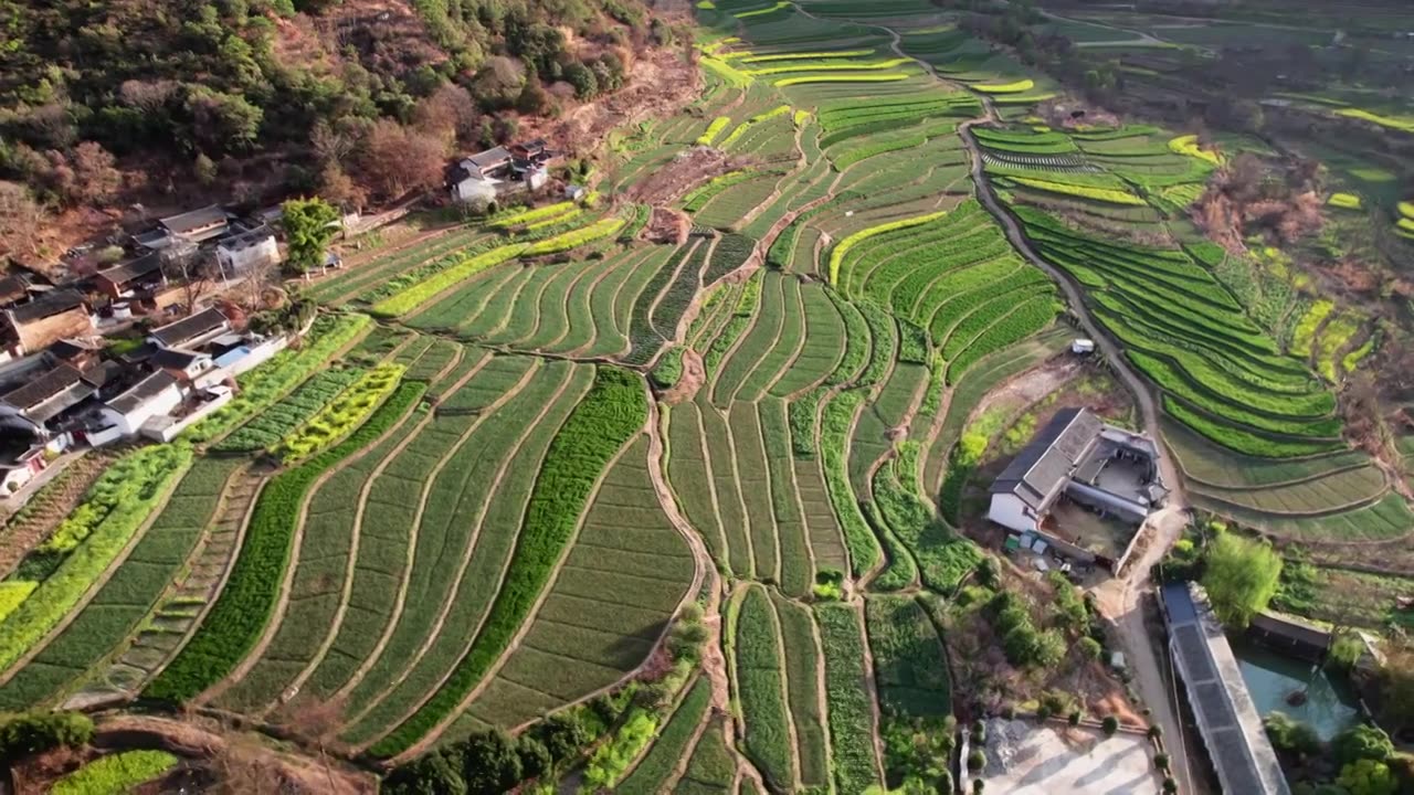 航拍云南丽江石鼓镇田园风光视频素材