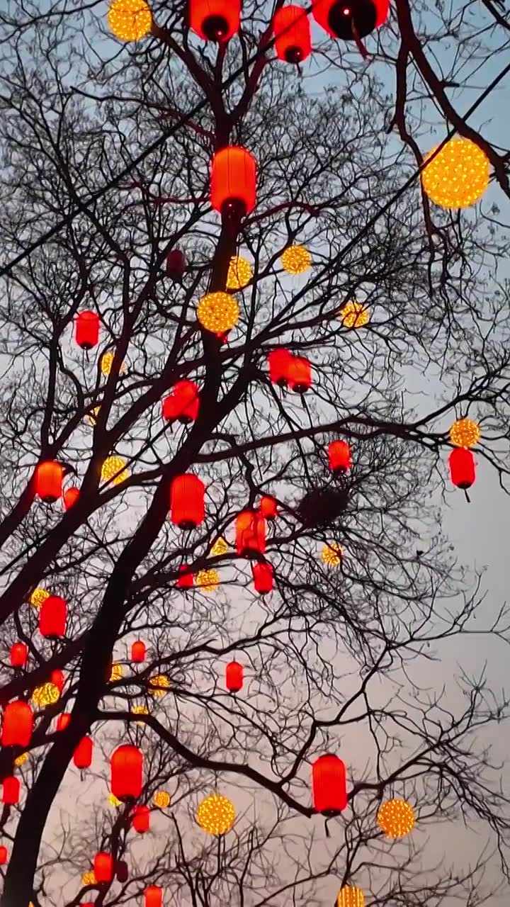 新年 春节 北京街景 节日氛围视频下载