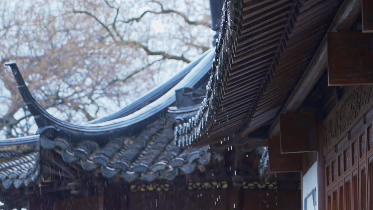 古典园林杭州西湖郭庄雨天梅花自然建筑风景视频下载