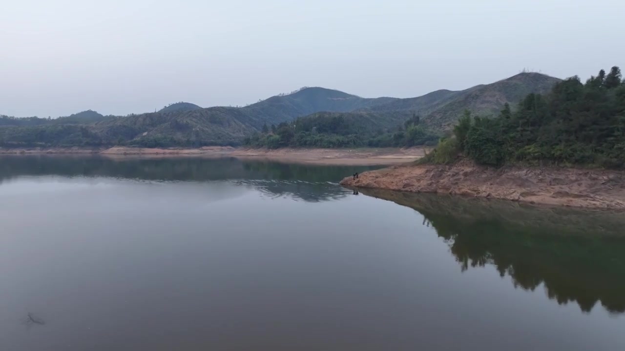 湖边蓼子花海航拍视频下载