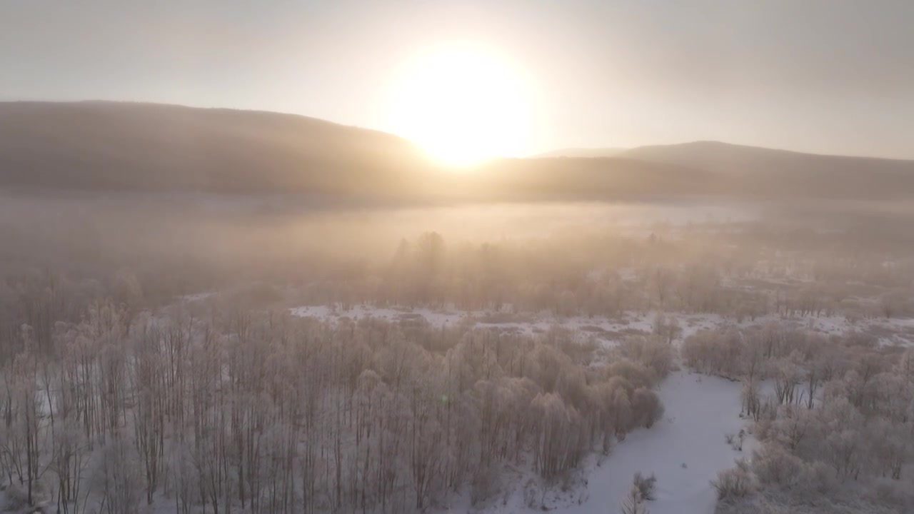 曙光照耀冻雾迷漫的林海雪原视频下载