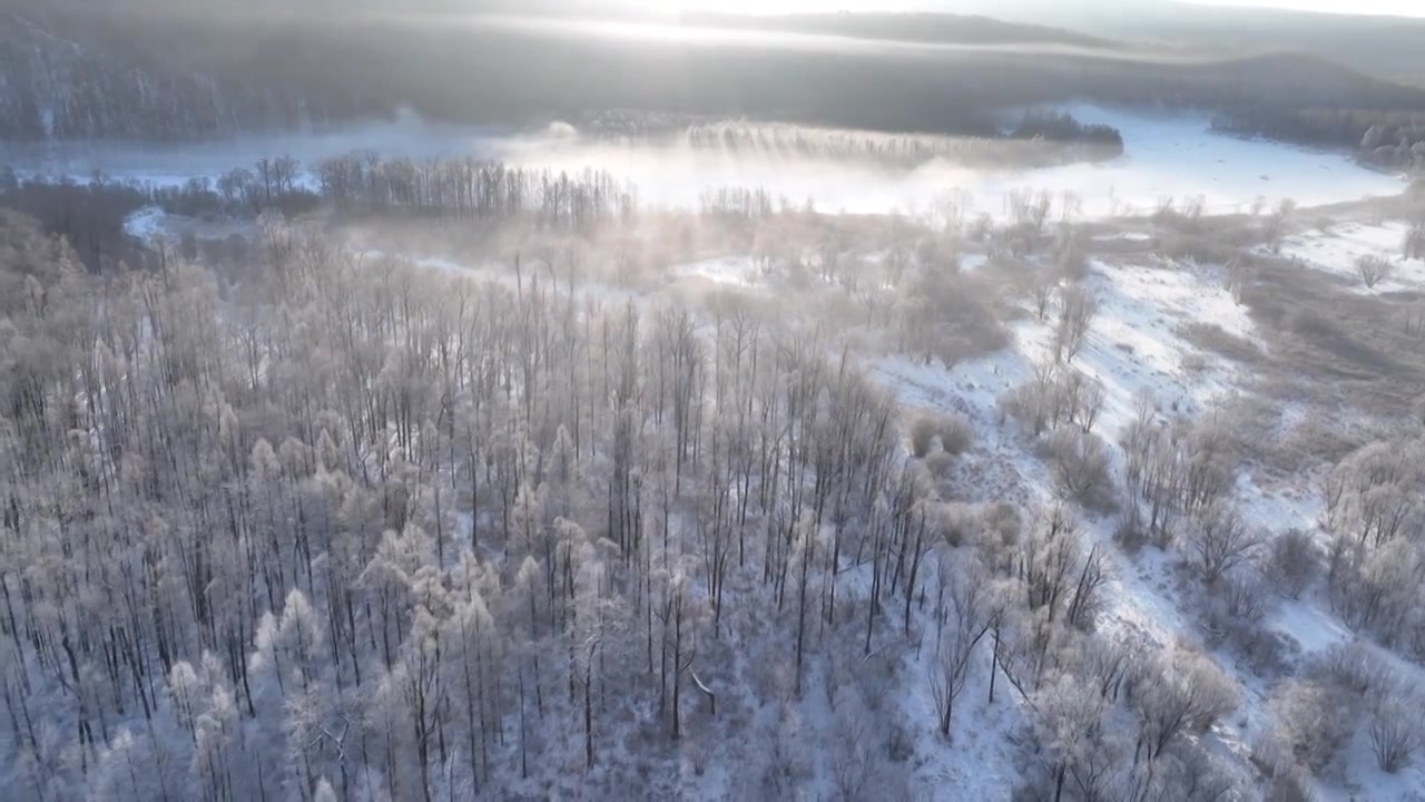 曙光照耀冻雾迷漫的林海雪原视频素材