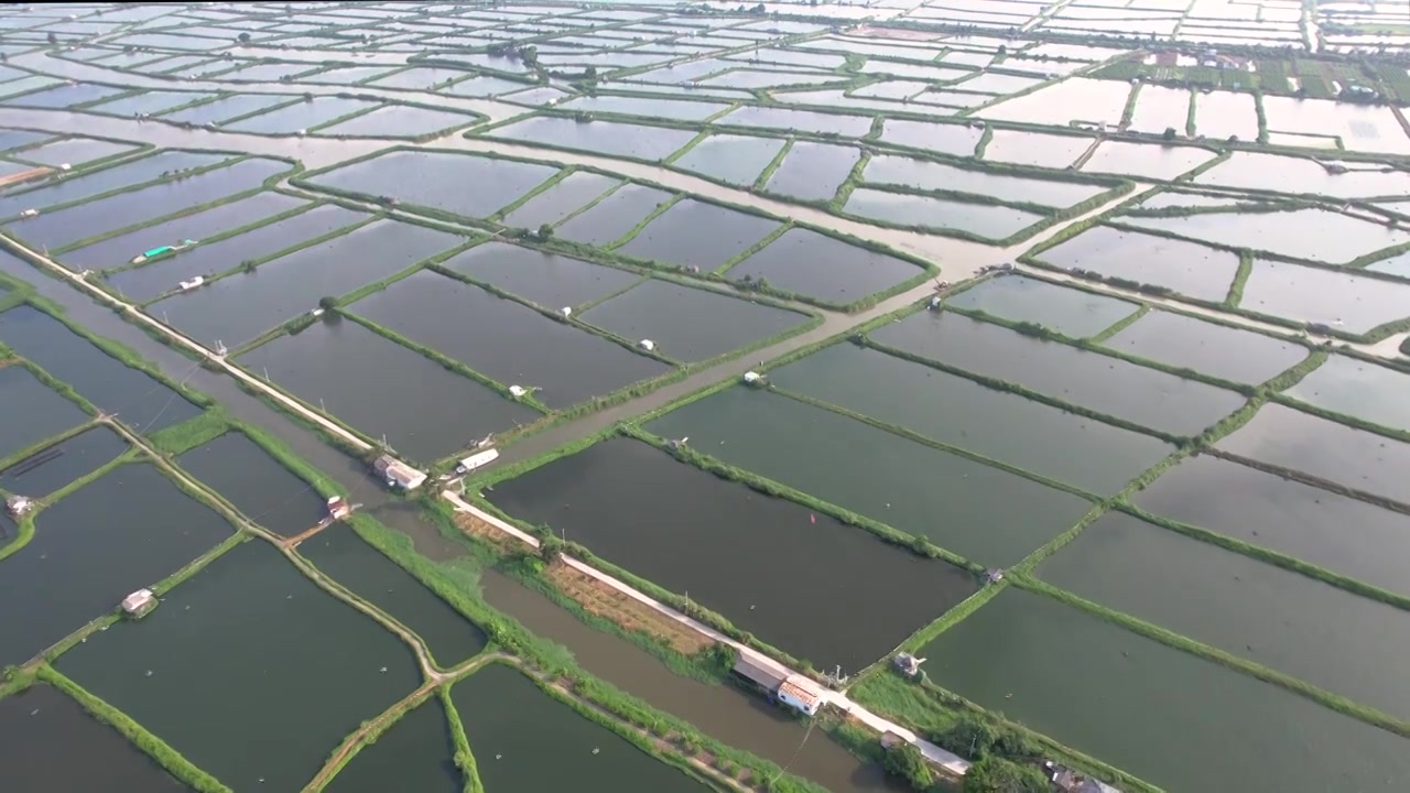 广东省汕头市澄海区水产养殖业池塘鱼虾蟹养殖乡村振兴视频素材