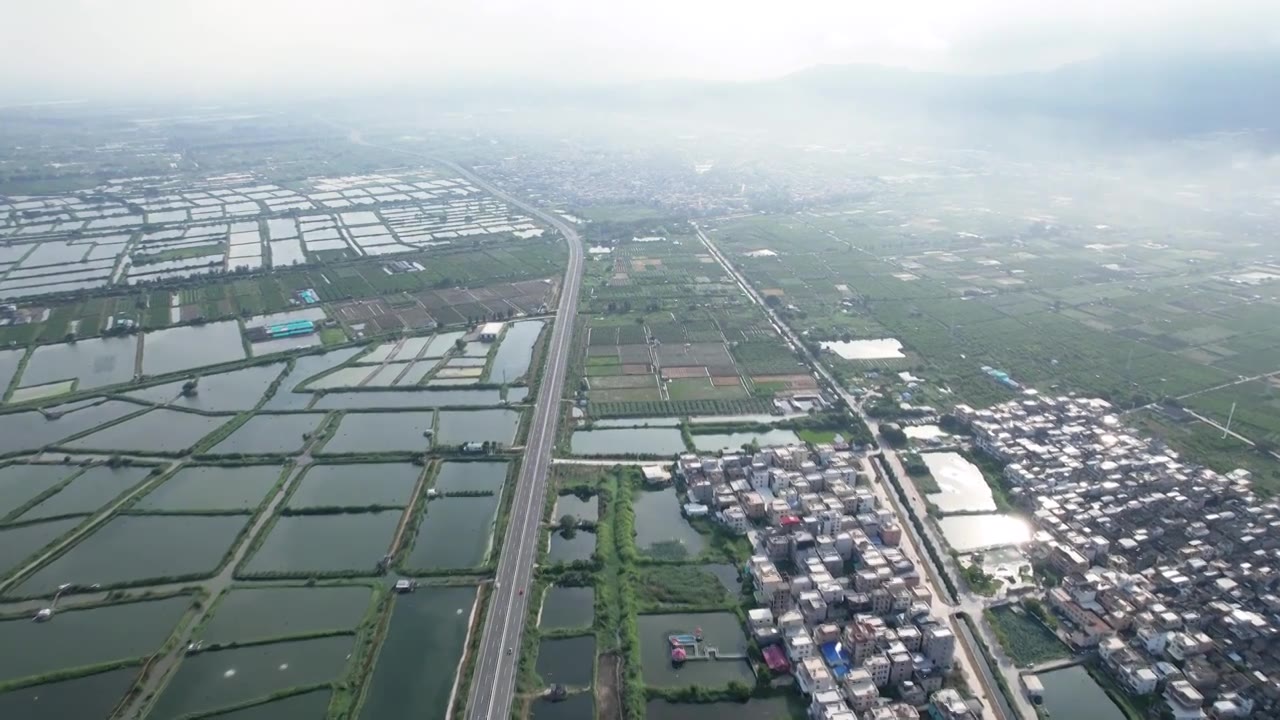 广东省汕头市澄海区水产养殖业池塘鱼虾蟹养殖乡村振兴视频素材