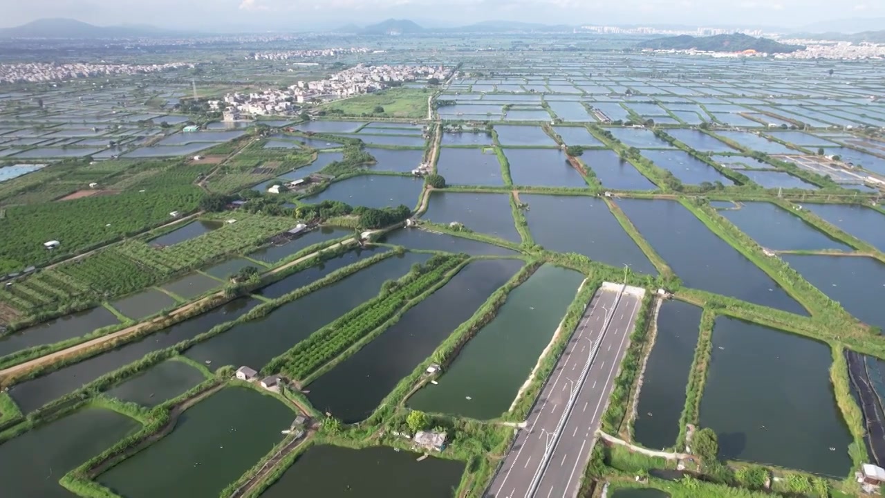 广东省汕头市澄海区水产养殖业池塘鱼虾蟹养殖乡村振兴视频素材