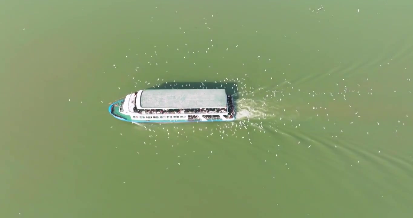 江苏省无锡市太湖鼋头渚风景区游客乘坐邮轮风光视频素材