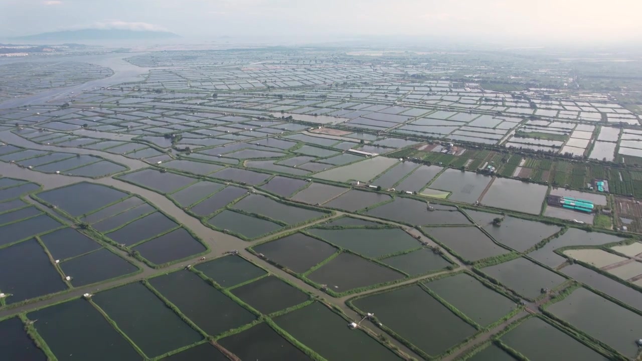 广东省汕头市澄海区水产养殖业池塘鱼虾蟹养殖乡村振兴视频素材