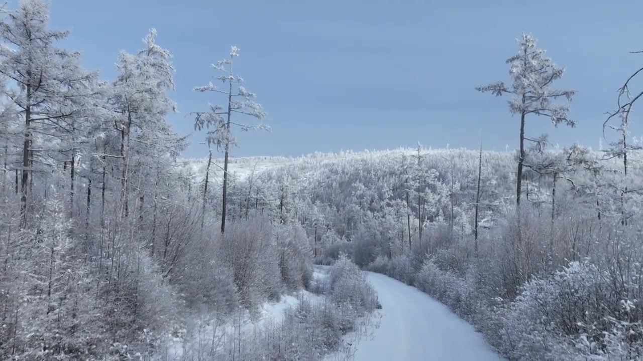 林海雪原雪林和山路视频素材