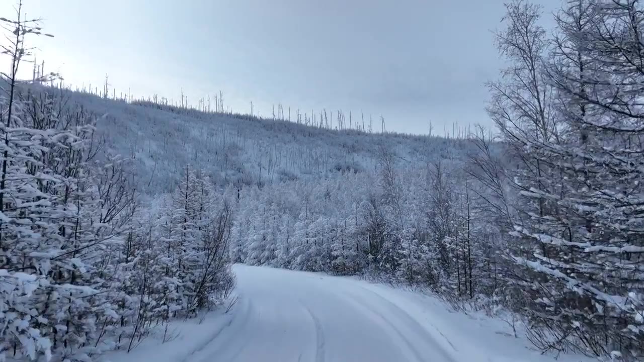 林海雪原雪林和山路视频素材