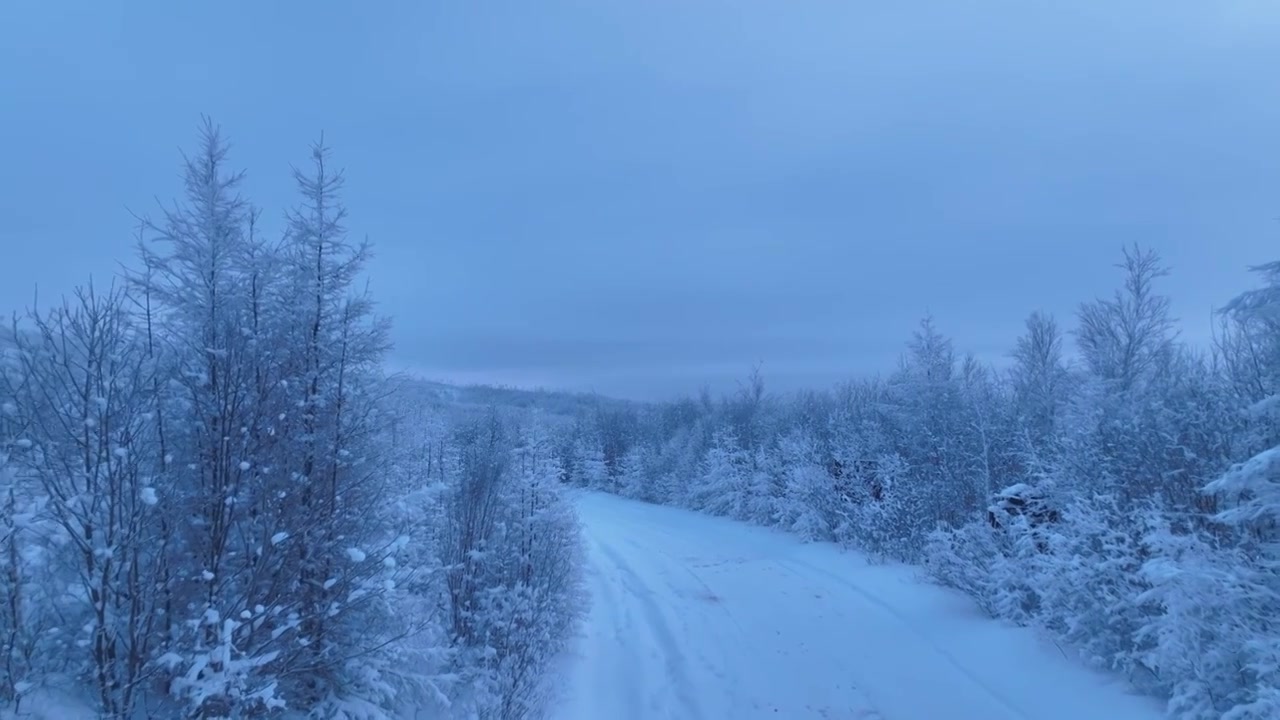 林海雪原雪林和山路视频素材