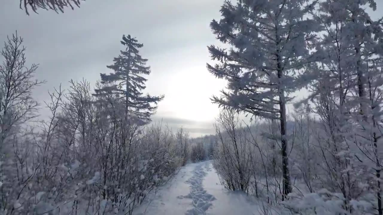 林海雪原雪林和山路视频素材