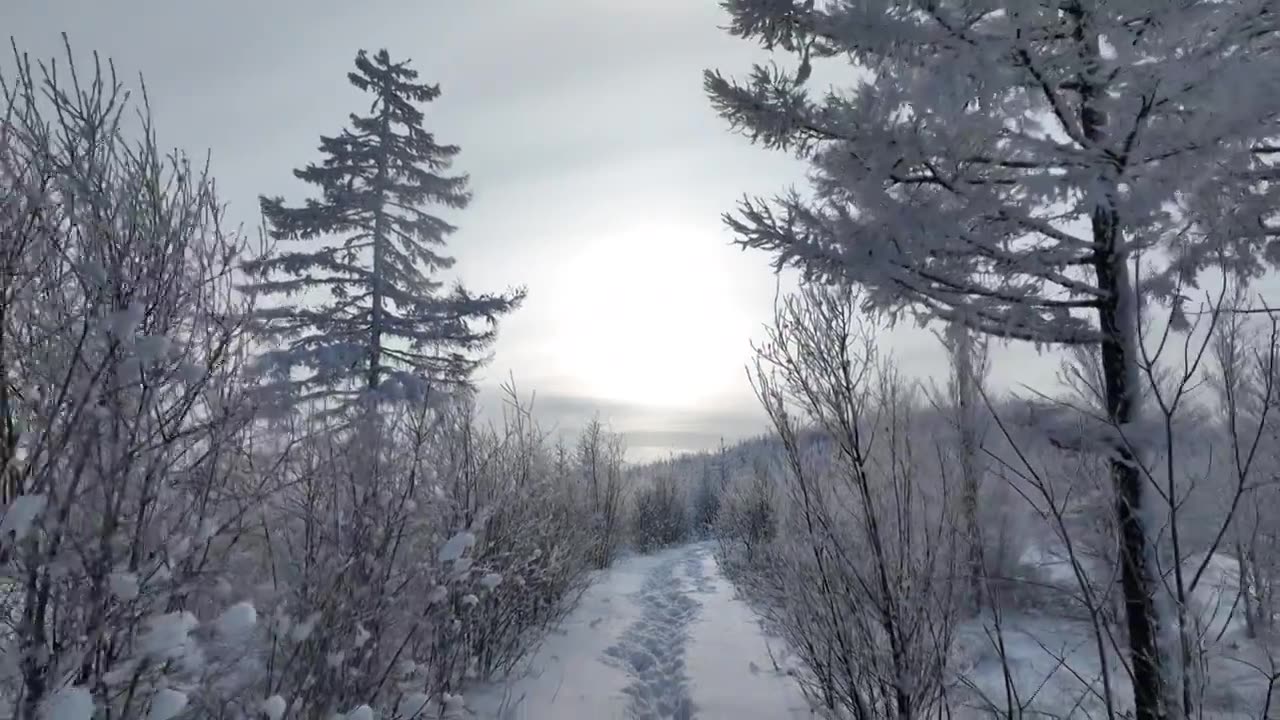 林海雪原雪林和山路视频素材