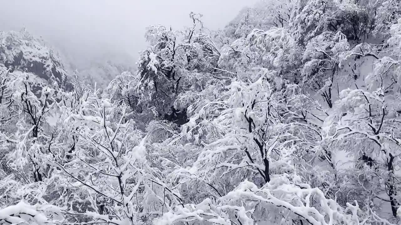 河南栾川老君山雾凇节冬日里漫山遍野的雾凇自然美冰挂美景人间仙境白雪茫茫冰挂自然奇观视频下载