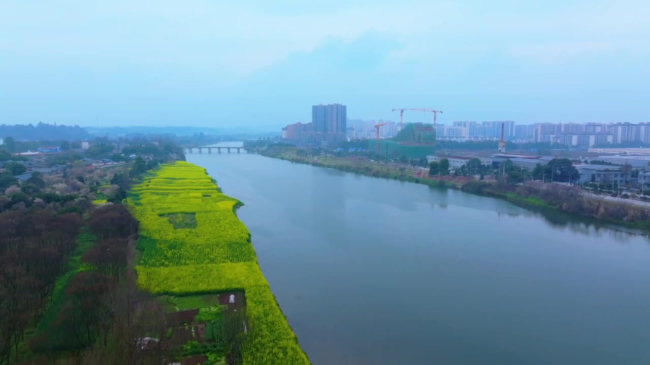 航拍油菜花海江河城市美景视频下载