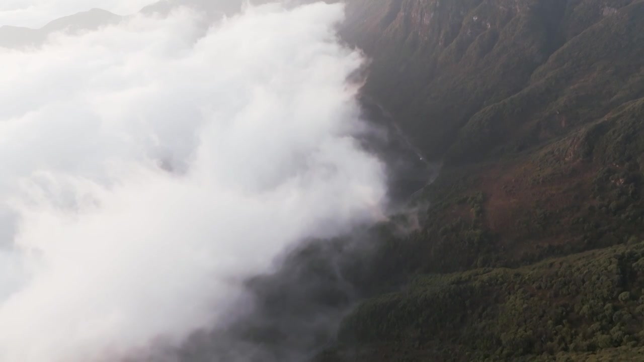 贵州高原日出云海下的森林风景风光视频素材