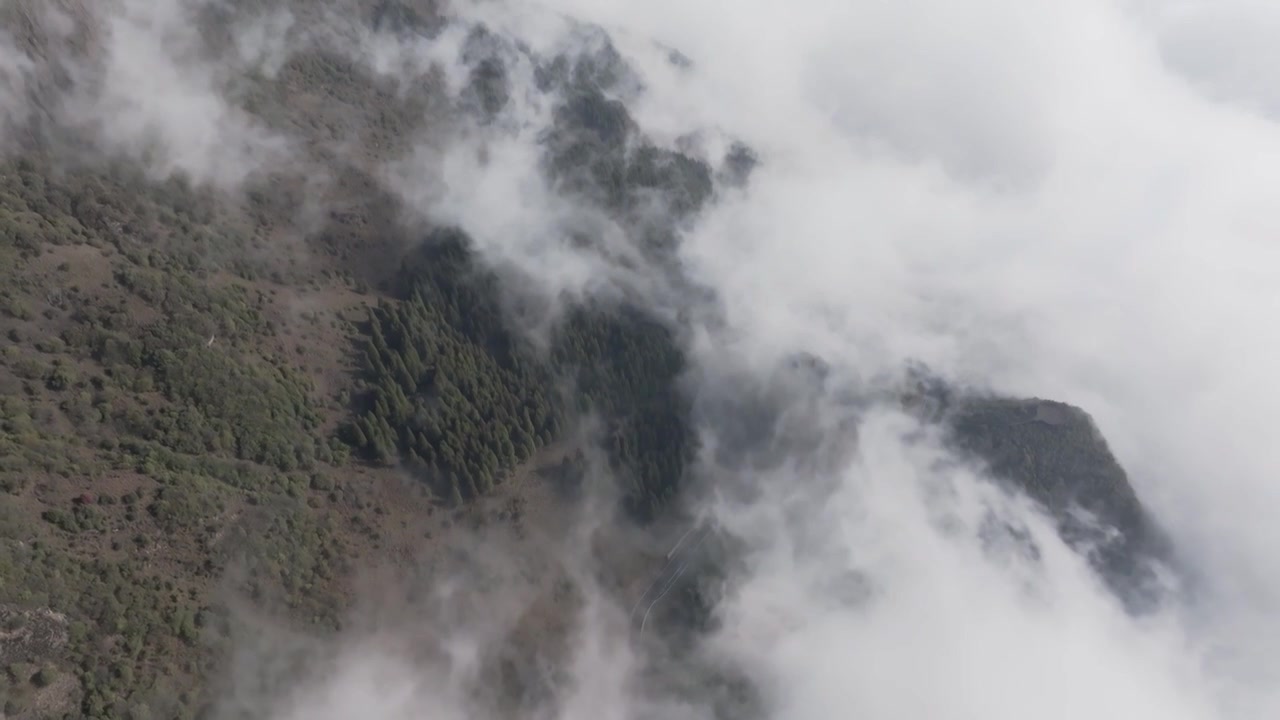 贵州高原日出云海下的森林风景风光视频素材