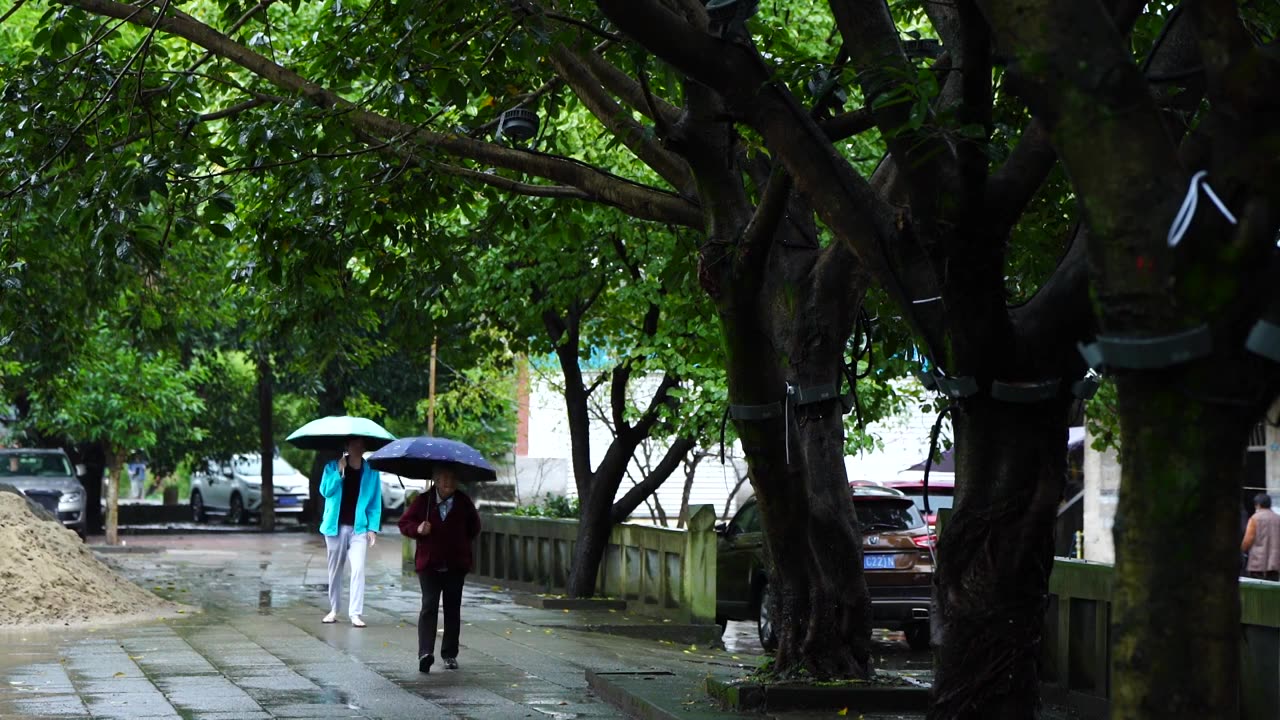 下雨天的古镇视频下载