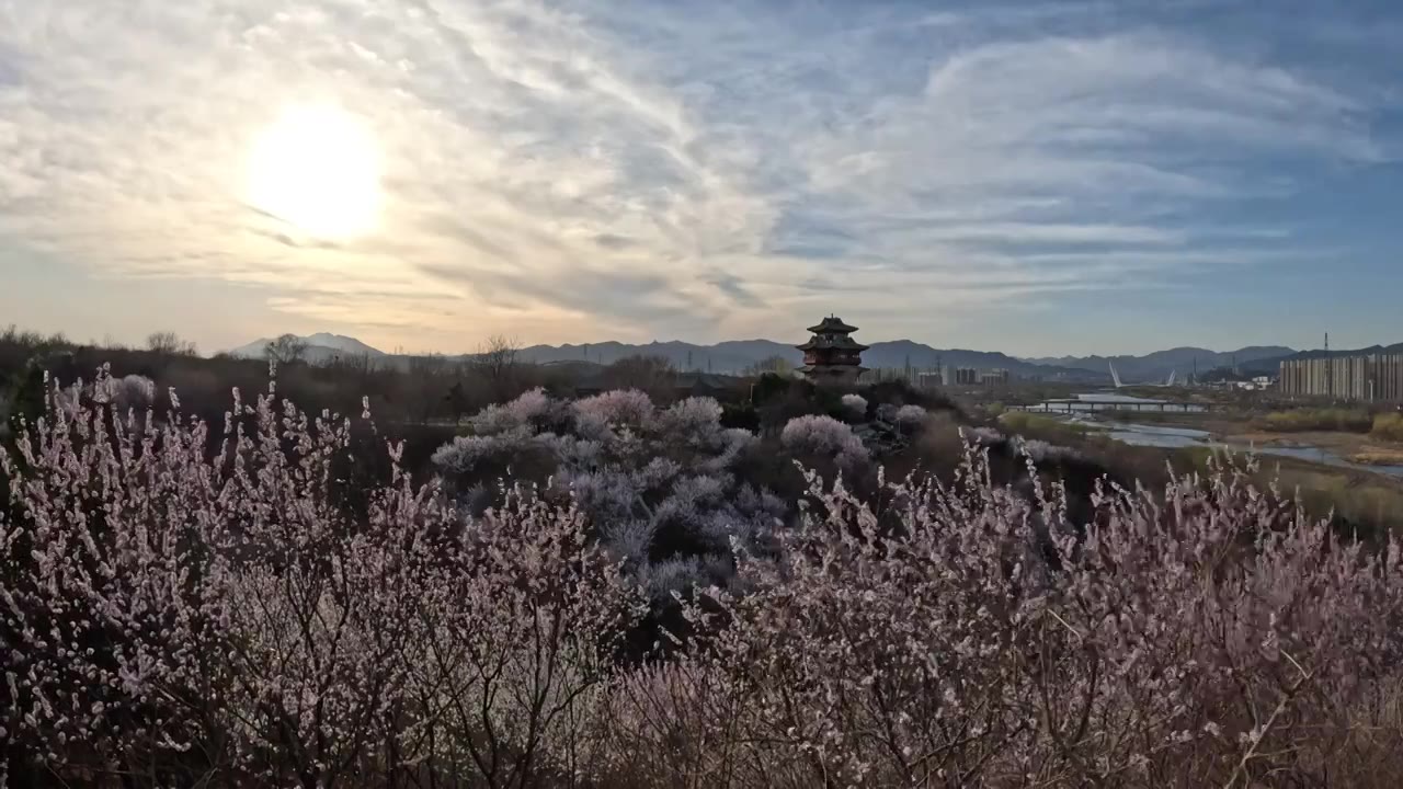 北京桃花谷落日云霞视频下载