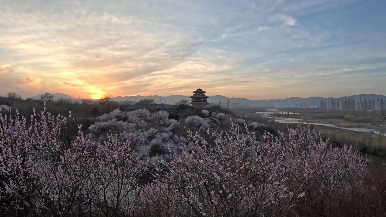 北京桃花谷落日云霞视频下载