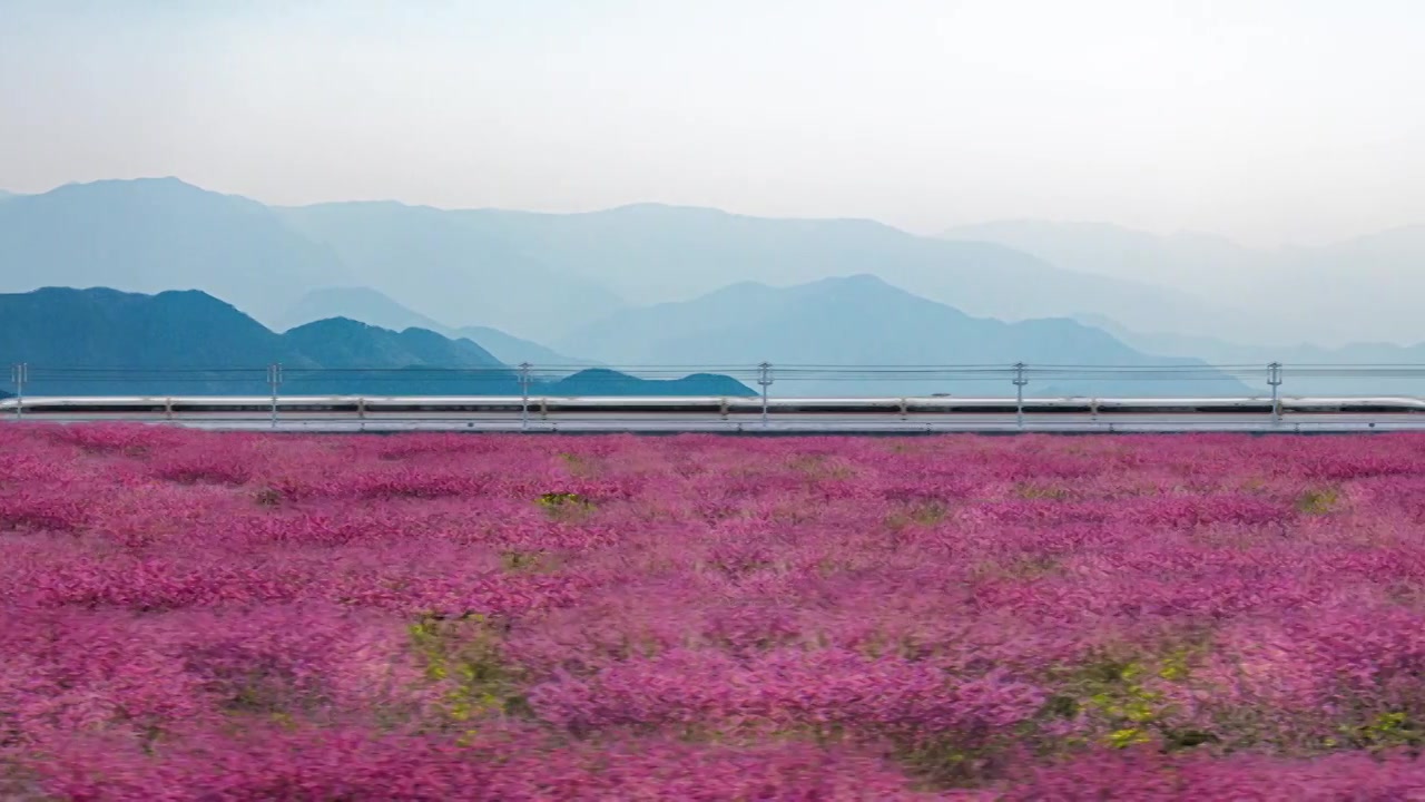 高铁行驶高山桃花源视频下载