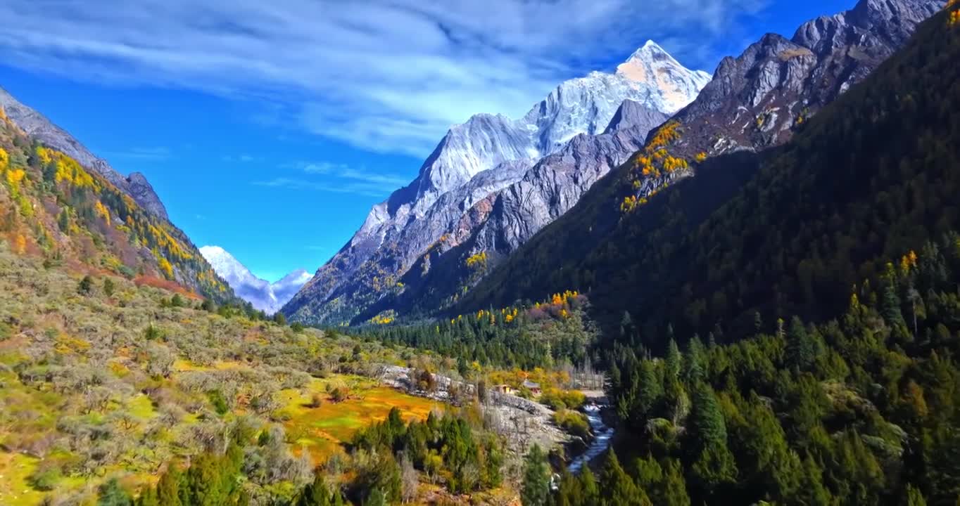 秋天 秋季 川西 雪山 森林  蓝天 白云 (合集)视频下载