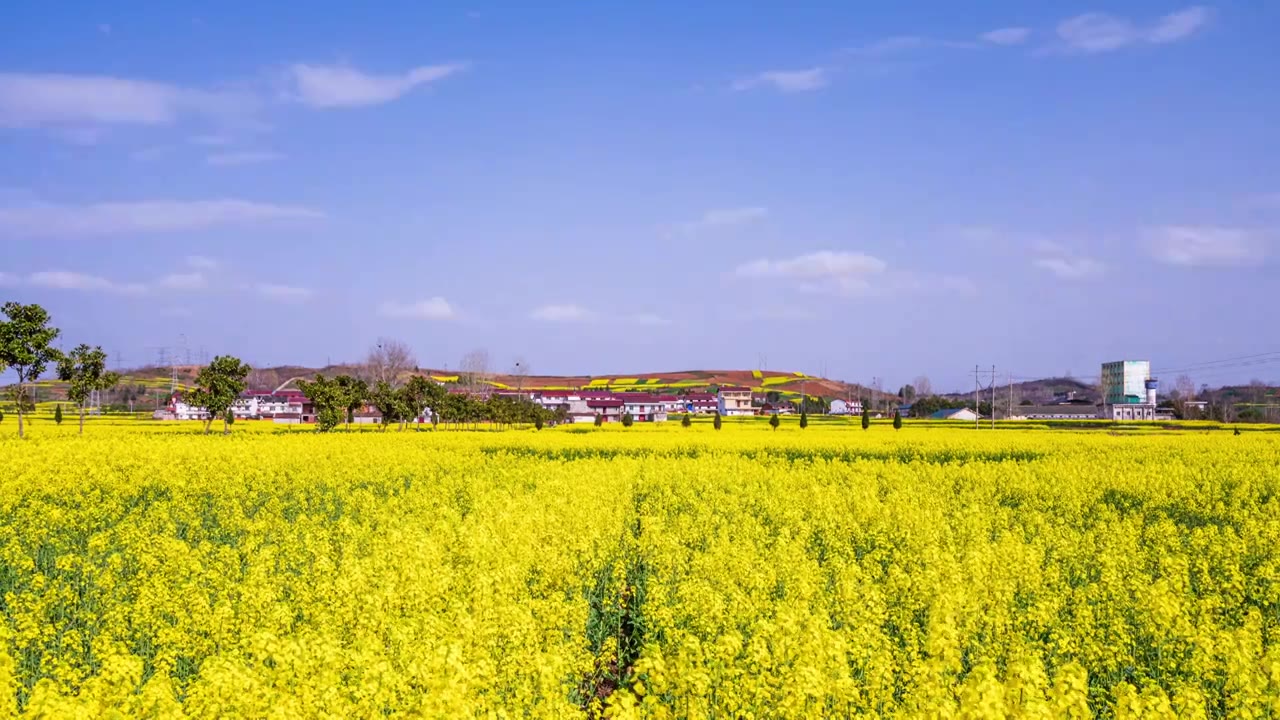 洋县马家村油菜花山云延时视频素材