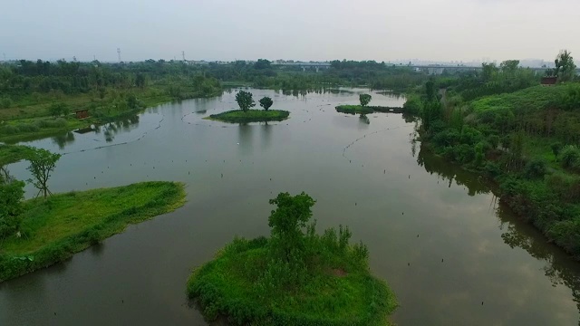 成都锦江白鹭湾生态湿地公园视频素材