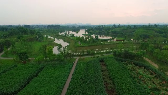 成都锦江白鹭湾生态湿地公园视频下载