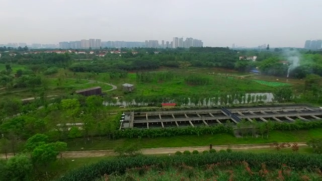 成都锦江白鹭湾生态湿地公园视频素材