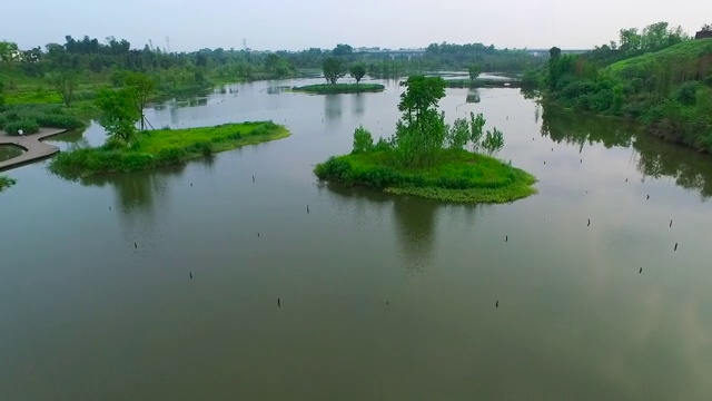 成都锦江白鹭湾生态湿地公园视频素材