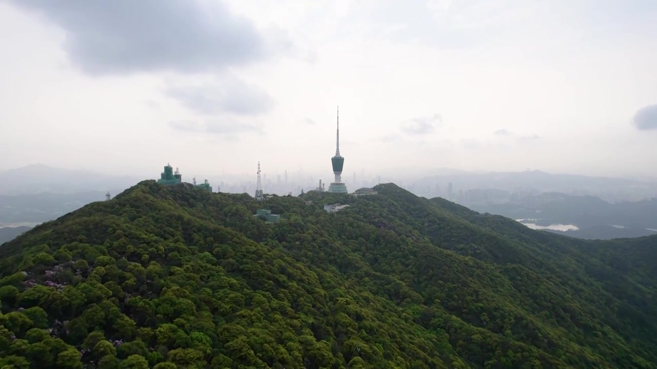 深圳梧桐山视频素材