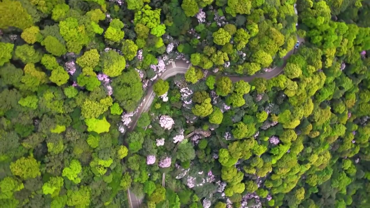 深圳梧桐山视频素材