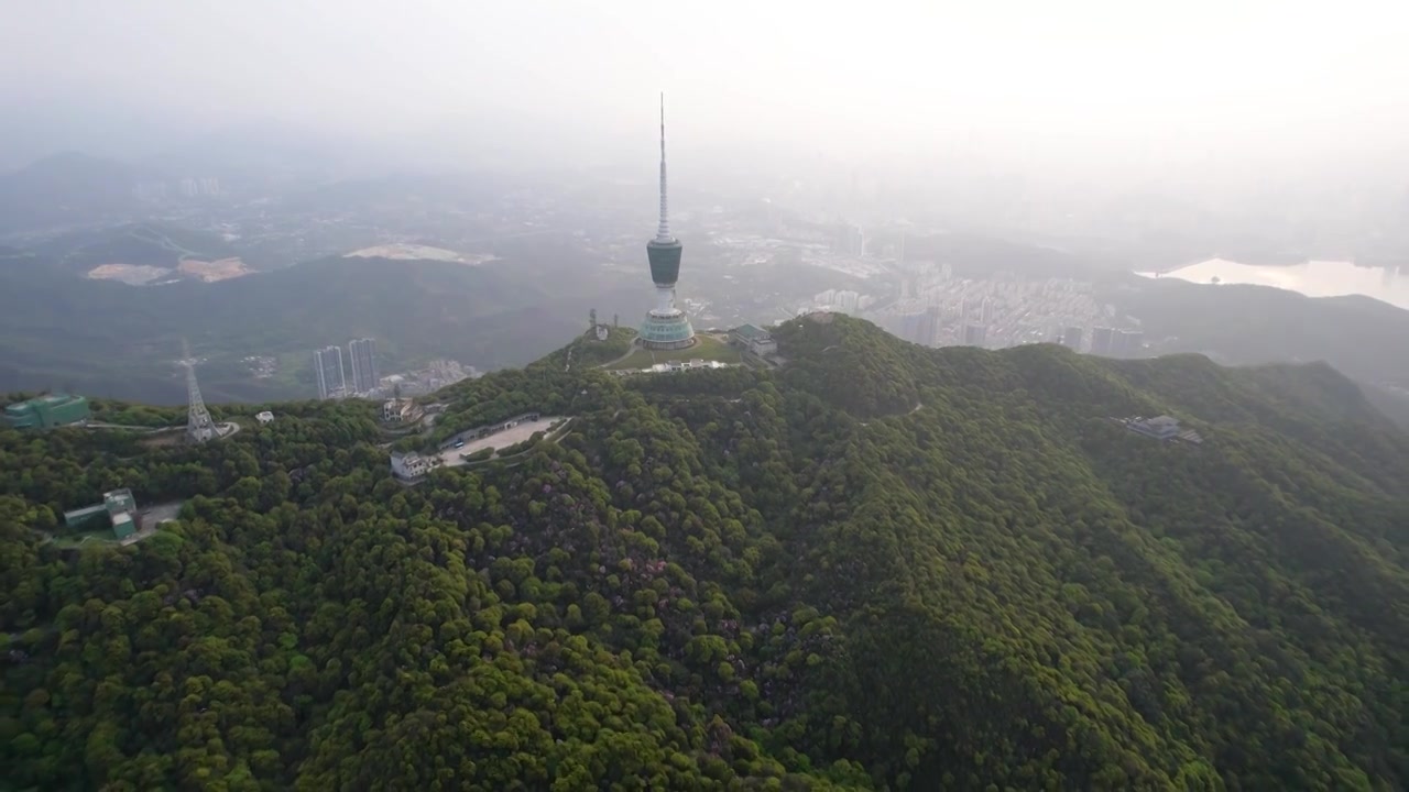 深圳梧桐山视频素材