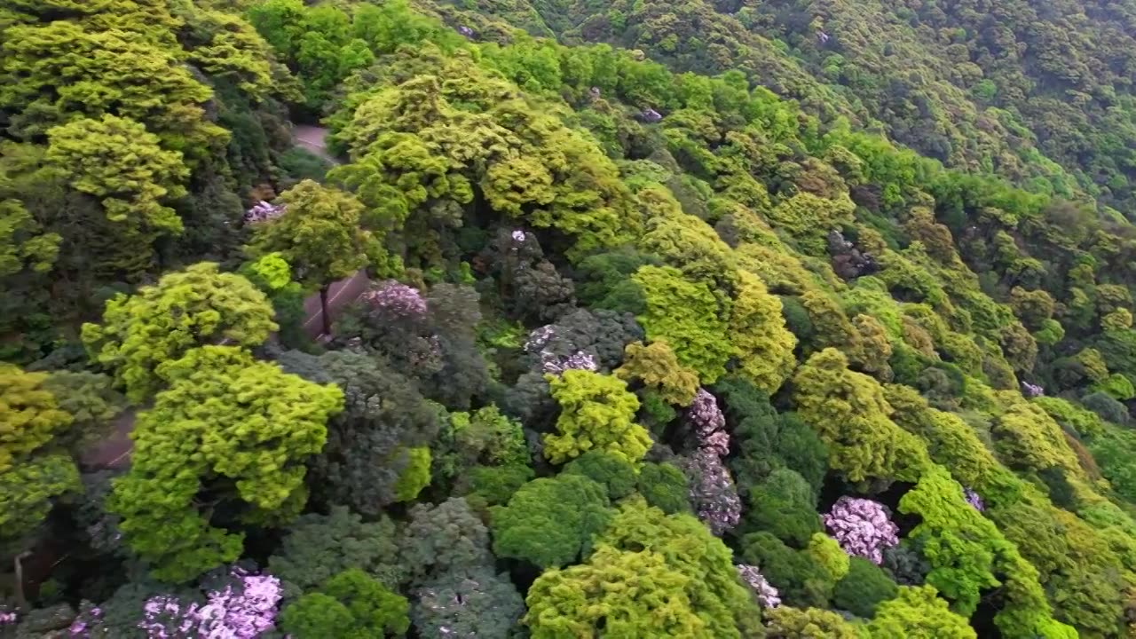 深圳梧桐山视频素材