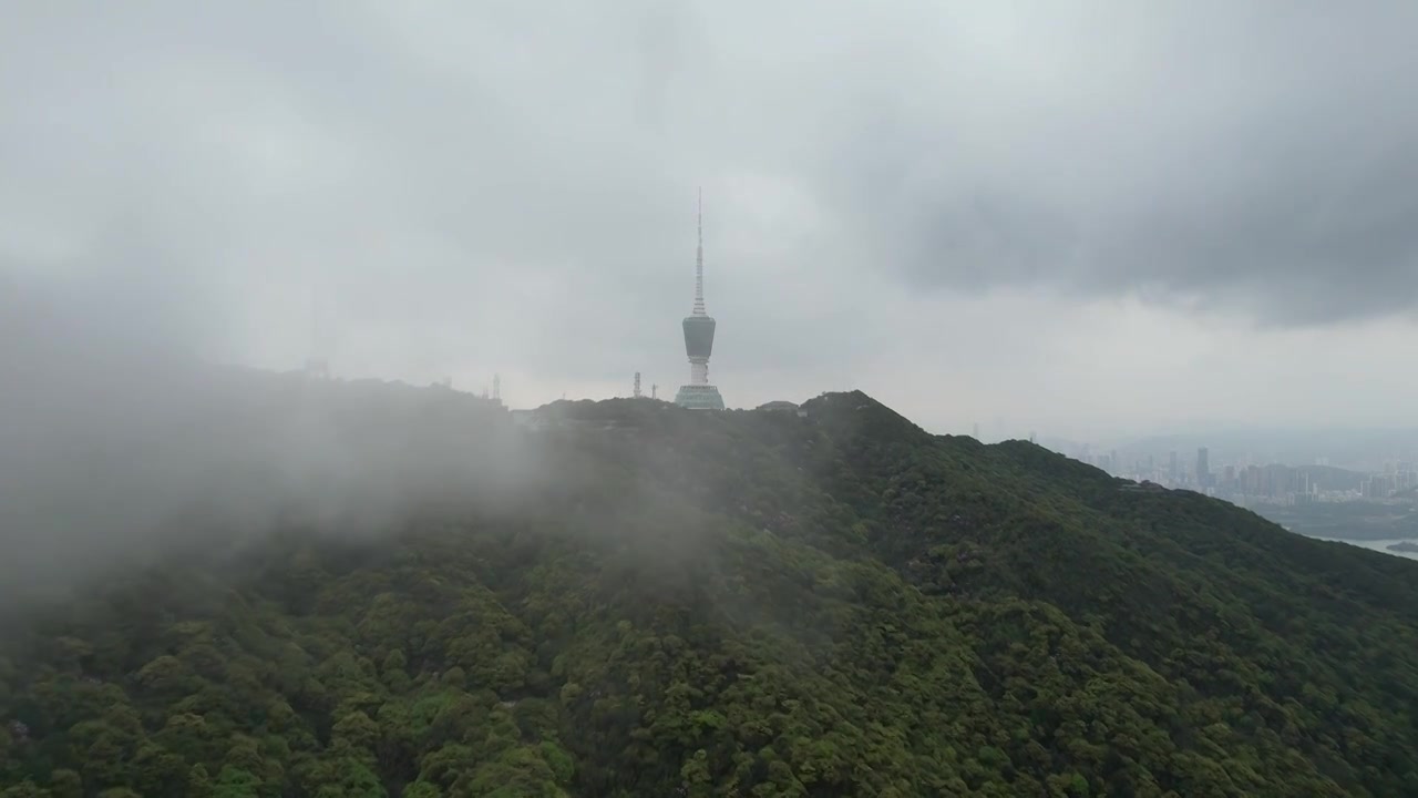 深圳小梧桐山云海航拍视频素材