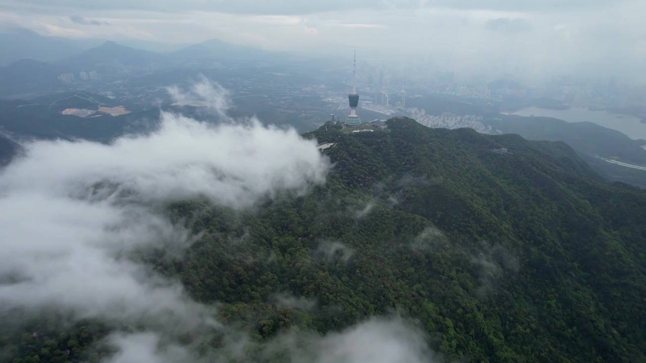 深圳梧桐山云海航拍视频素材