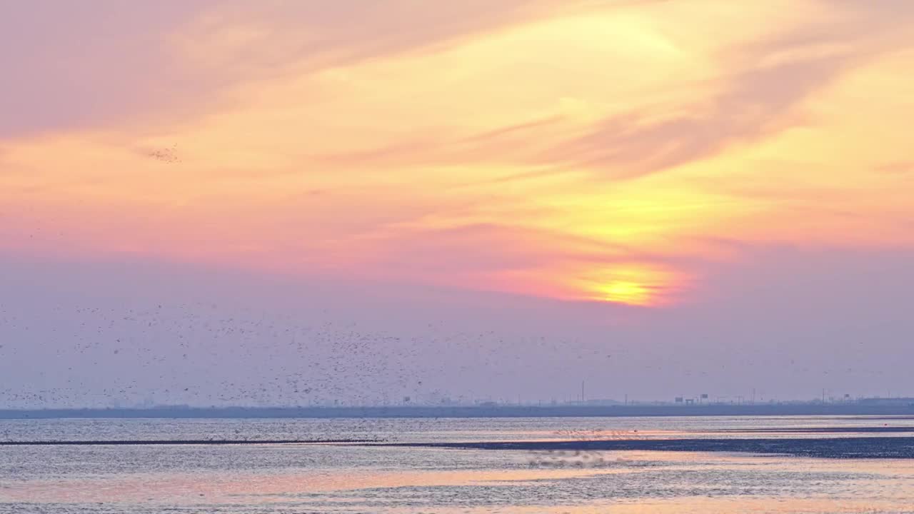 【合集】夕阳晚霞鸟群空镜头视频素材