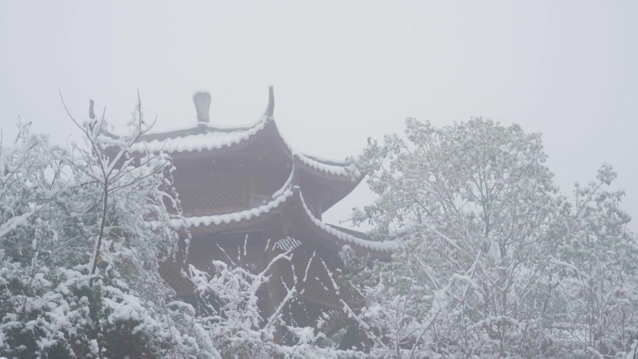 成都龙泉山冬季森林公园下雪视频素材