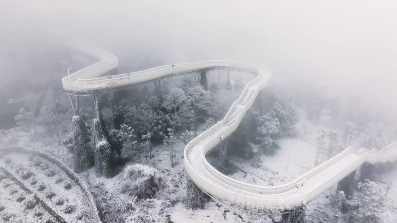 成都龙泉山冬季森林公园下雪视频素材