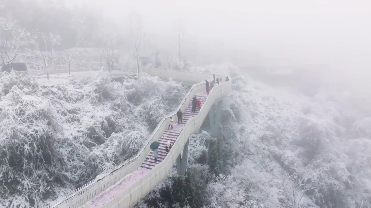 成都龙泉山冬季森林公园下雪视频素材