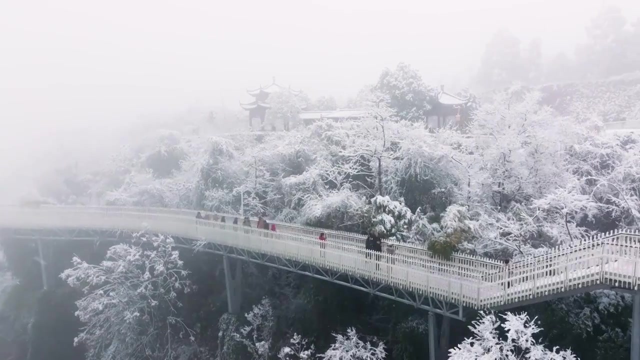 成都龙泉山冬季森林公园下雪视频素材