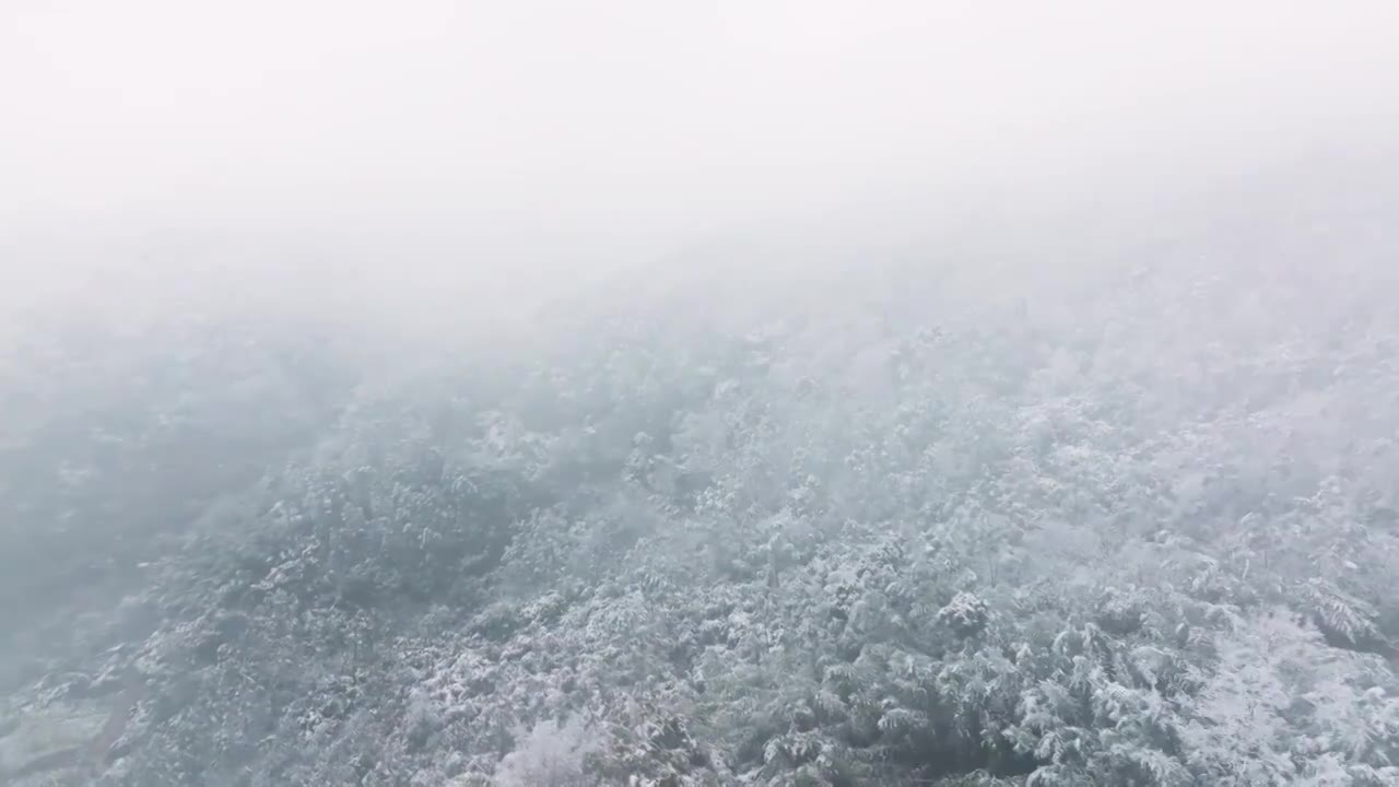 成都龙泉山冬季森林公园下雪视频素材