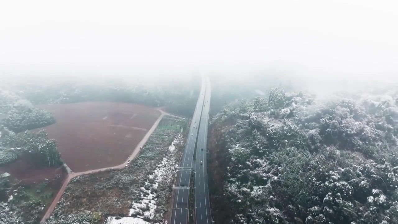 成都龙泉山冬季森林公园下雪视频素材