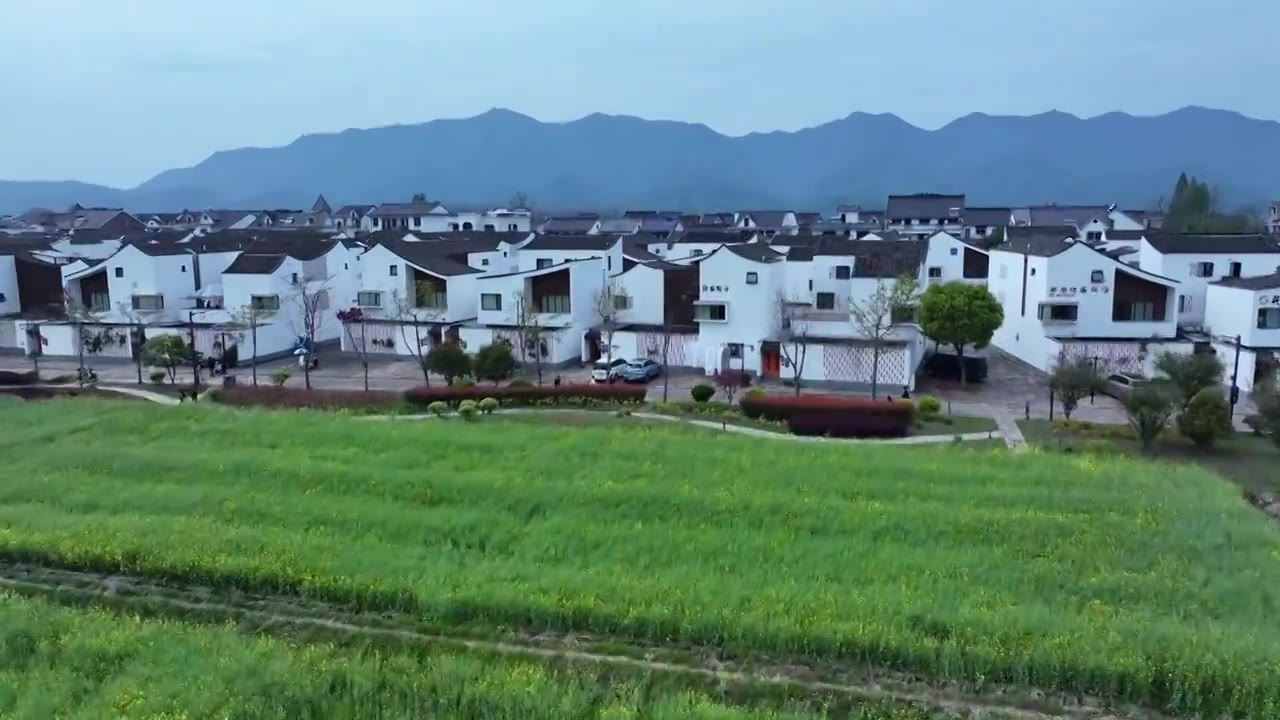 浙江杭州富阳东梓关村油菜花航拍视频素材