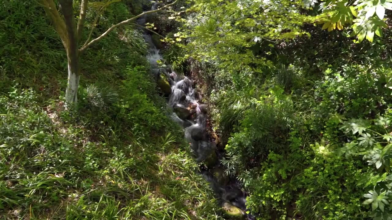 春天的山涧溪流水流自然风景视频素材