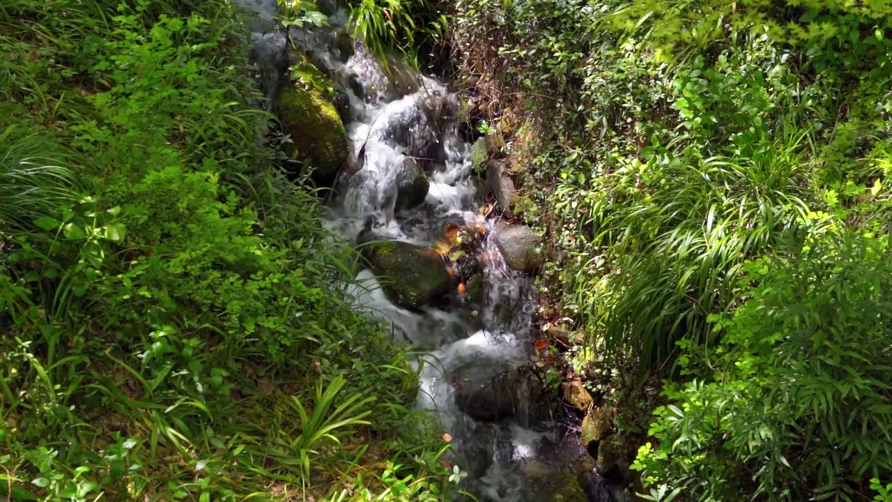 春天的山涧溪流水流自然风景视频素材